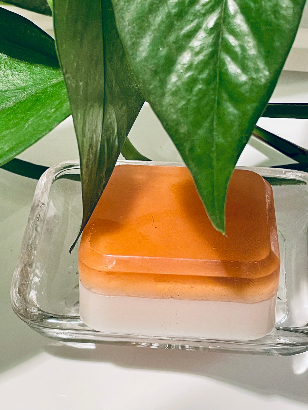 Botanical Exfoliating Soap Bars
